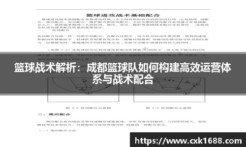 篮球战术解析：成都篮球队如何构建高效运营体系与战术配合
